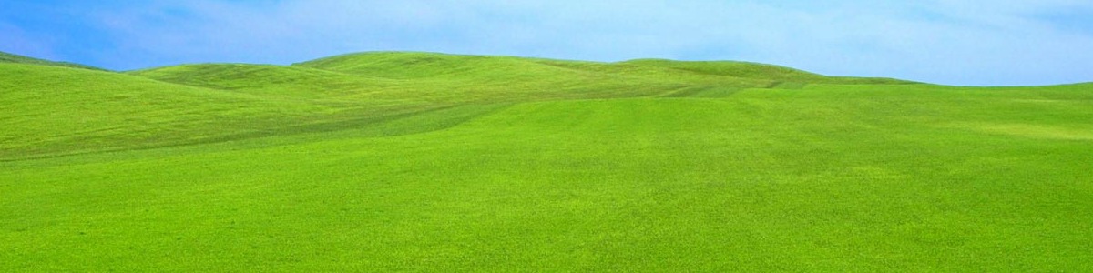 grass-sky-cropped