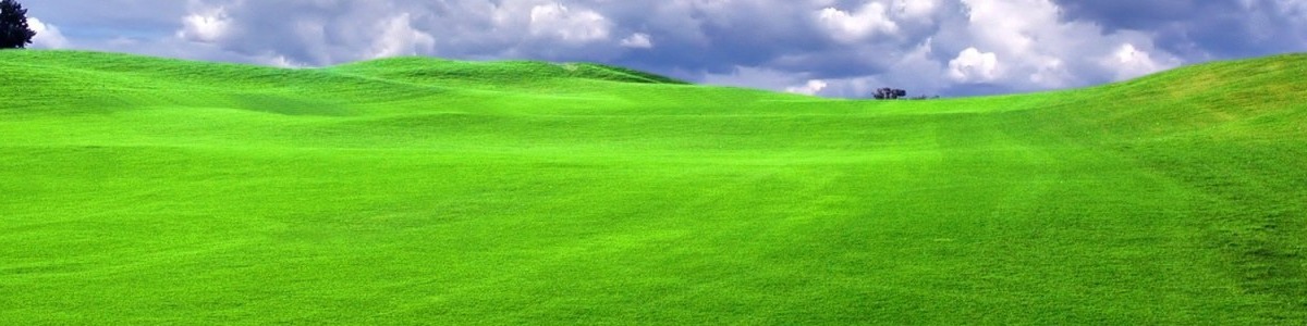 grass-sky3